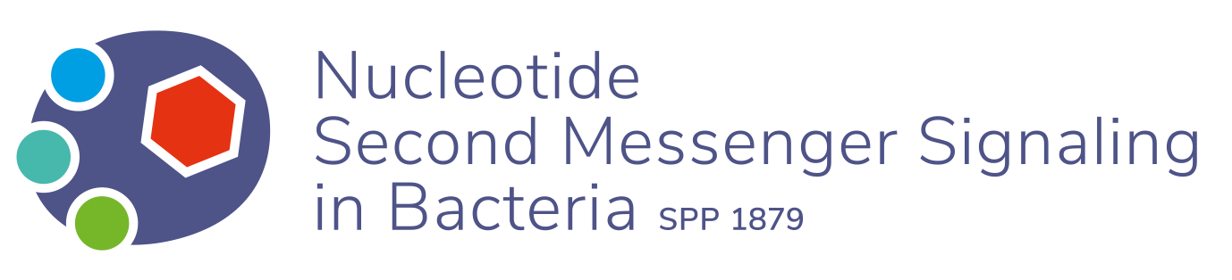 Nucleotide Second Messenger Signaling in Bacteria